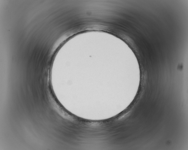 X0000112481130200909281103