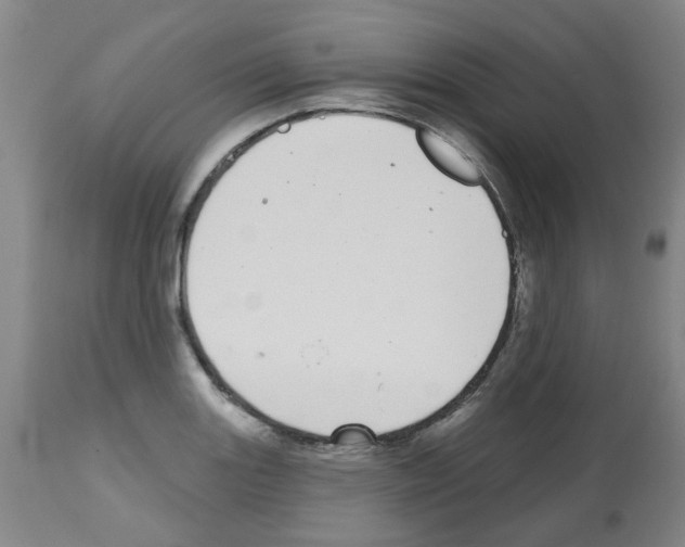 X0000112481131200909281103