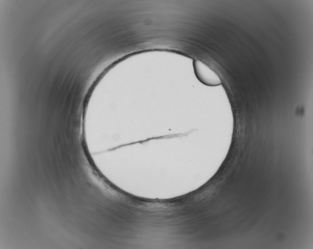 X0000112481132200909281103