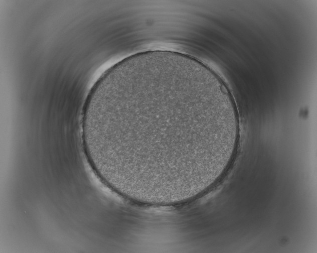 X0000112481133200909281103