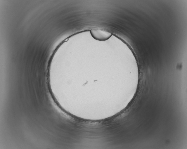 X0000112481135200909281103