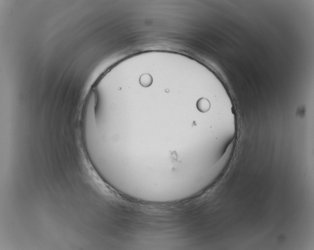 X0000112481138200909281103