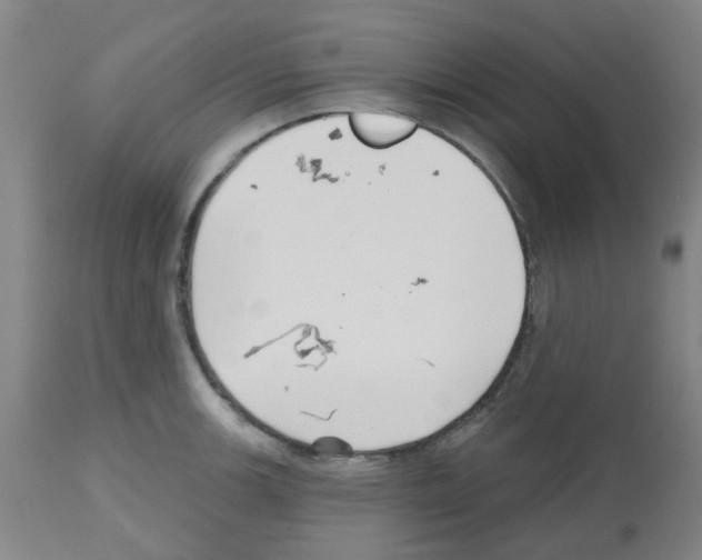 X0000112481139200909281103