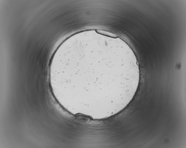 X0000112481140200909281103