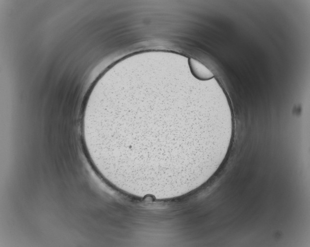 X0000112481141200909281103