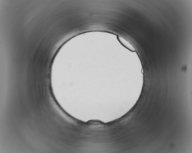 X0000112481142200909281103