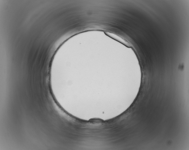 X0000112481143200909281103