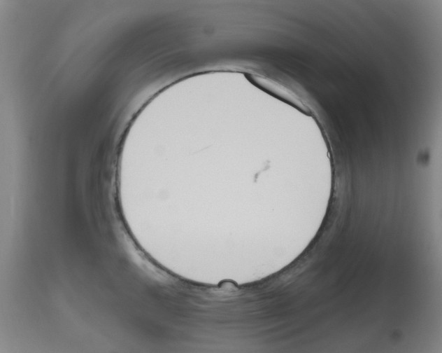 X0000112481144200909281103