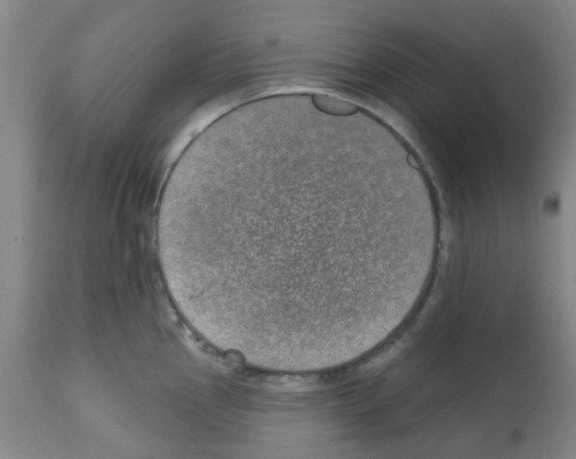 X0000112481145200909281103