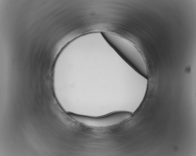 X0000112481146200909281103