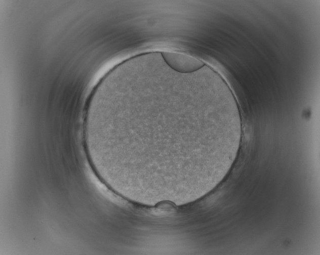 X0000112481147200909281103