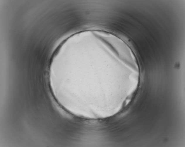 X0000112481149200909281103