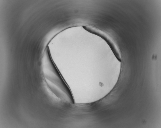 X0000112481152200909281103