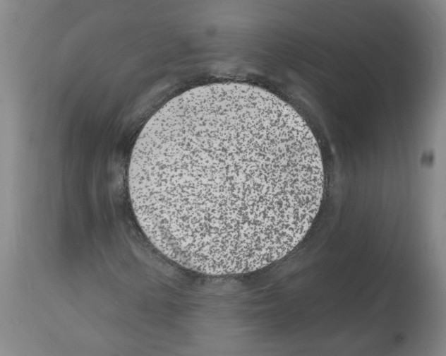 X0000112481154200909281102