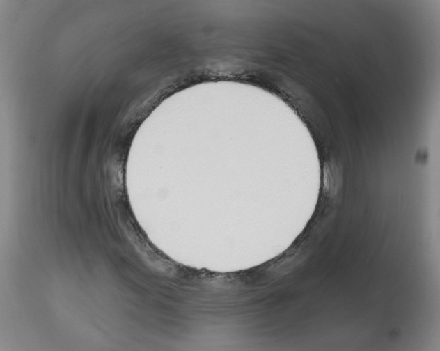 X0000112481155200909281102