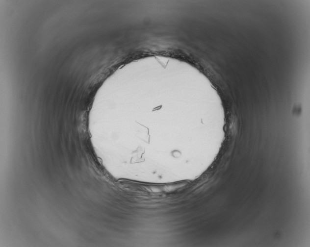 X0000112481156200909281102