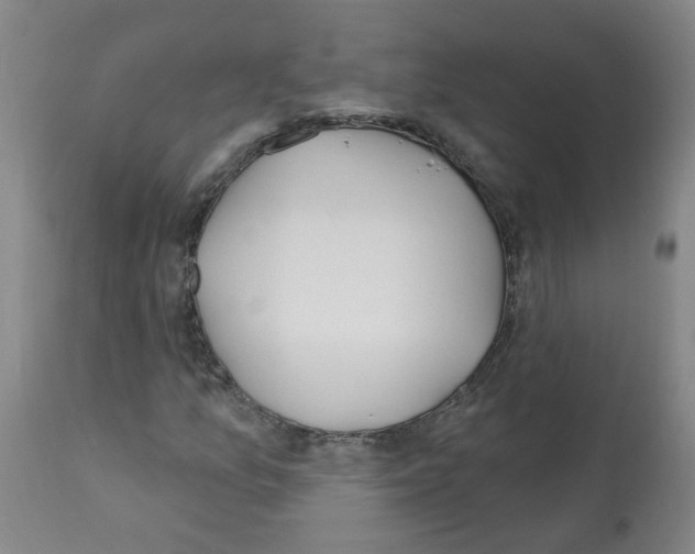 X0000112481157200909281102