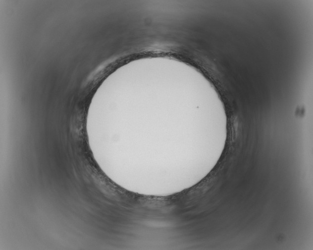 X0000112481158200909281102