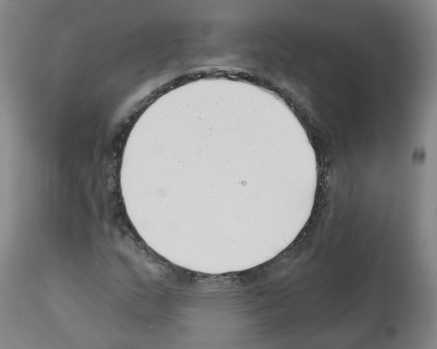 X0000112481159200909281102