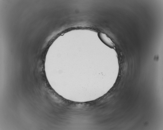 X0000112481160200909281102