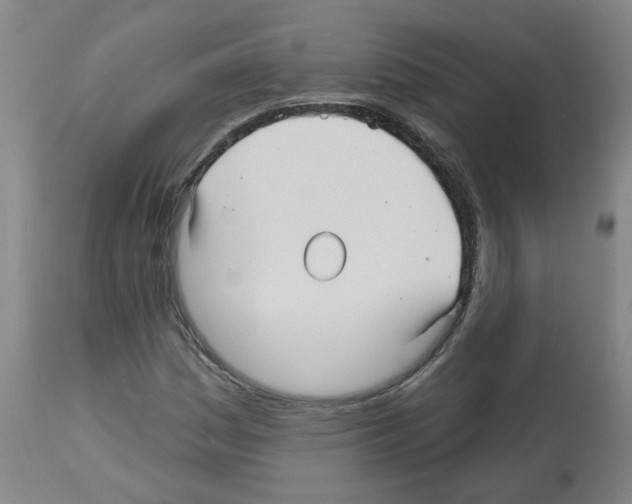 X0000112481161200909281102