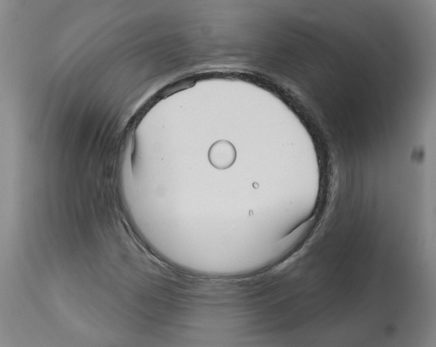 X0000112481162200909281102