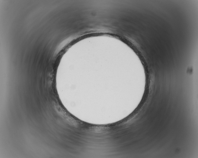 X0000112481163200909281102