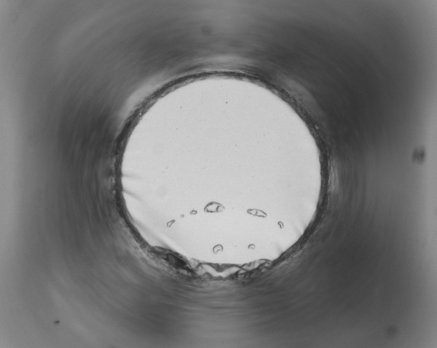 X0000112481164200909281102