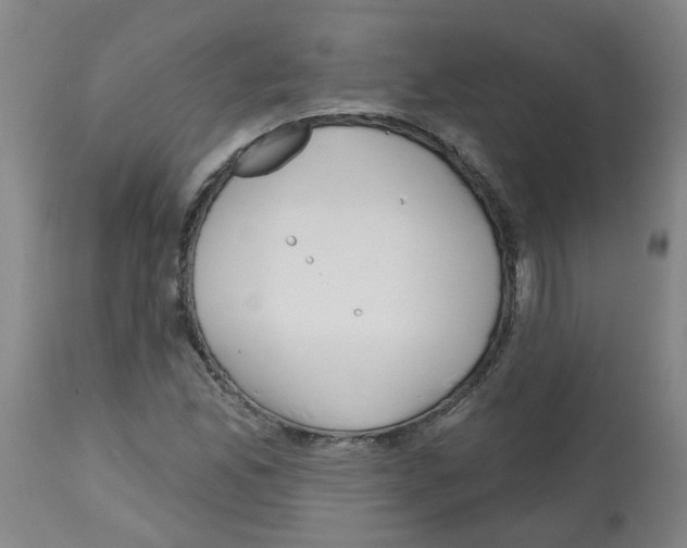 X0000112481165200909281102