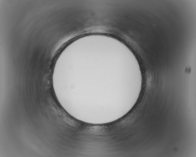 X0000112481166200909281102