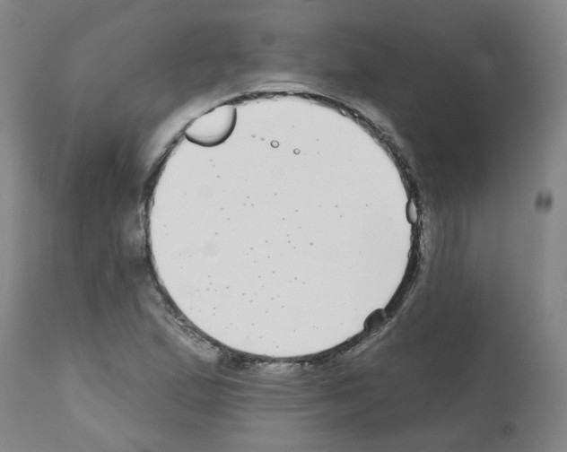 X0000112481167200909281102