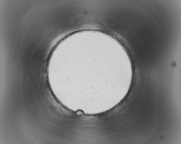 X0000112481168200909281102