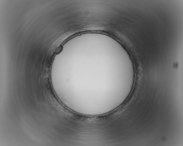 X0000112481169200909281102