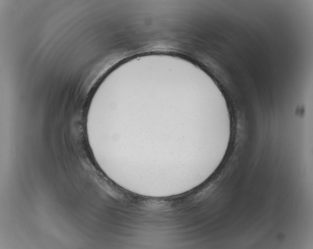 X0000112481170200909281102