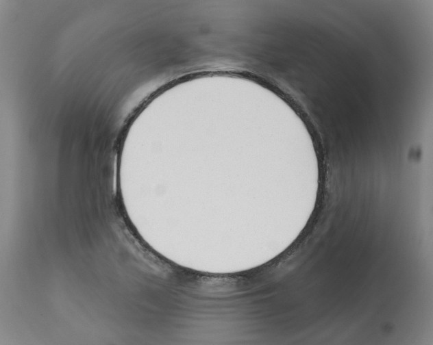 X0000112481171200909281102