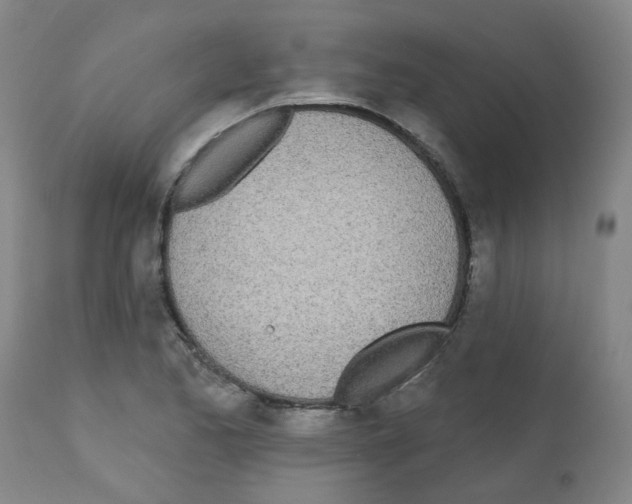 X0000112481173200909281102