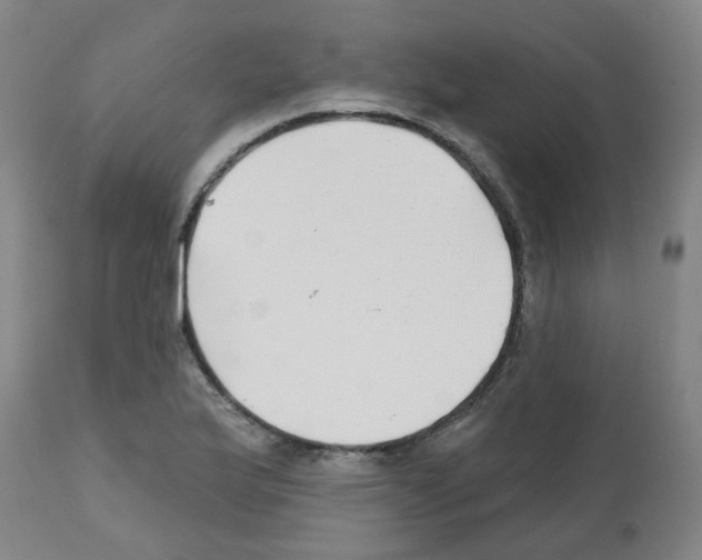 X0000112481175200909281102