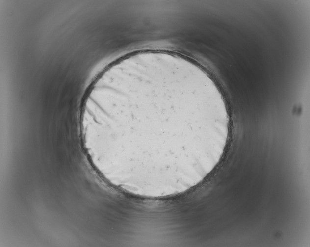 X0000112481176200909281102