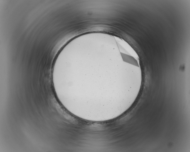 X0000112481178200909281102