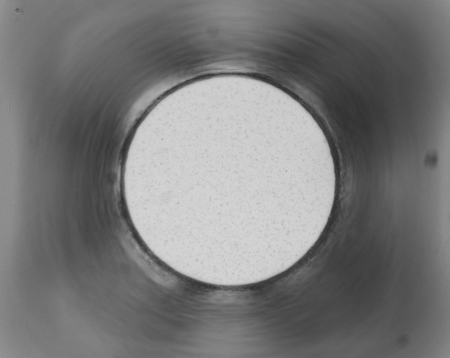 X0000112481179200909281102