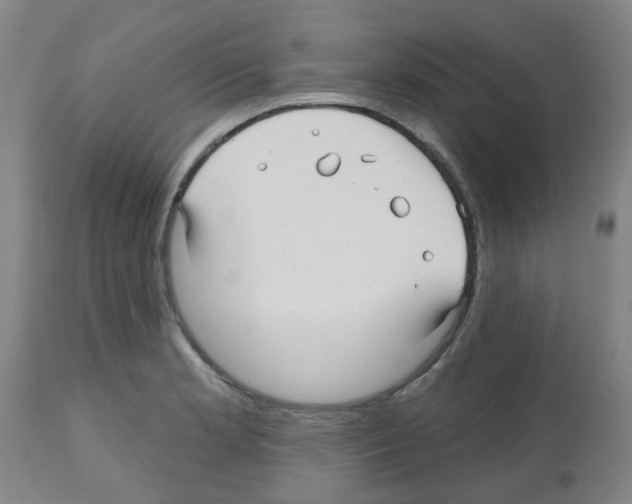 X0000112481181200909281102