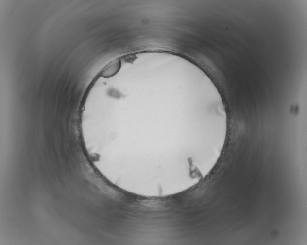 X0000112481182200909281102