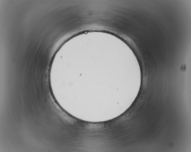 X0000112481183200909281102