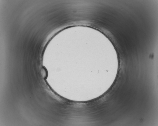 X0000112481184200909281102