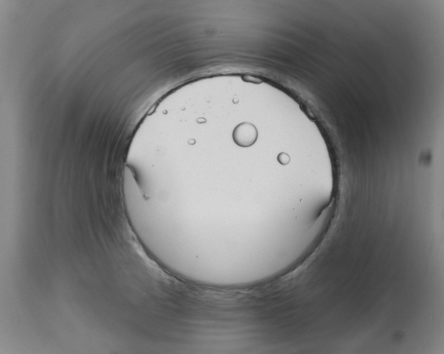 X0000112481185200909281102