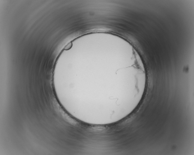 X0000112481186200909281102