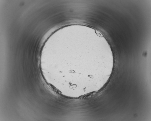 X0000112481188200909281102