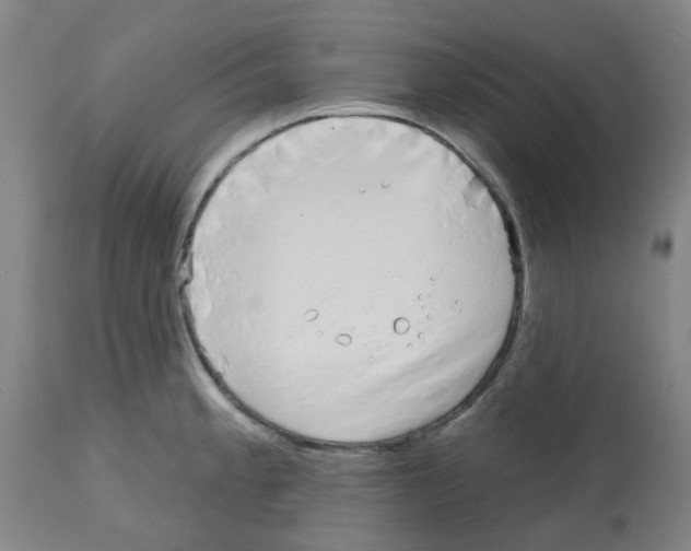 X0000112481189200909281102