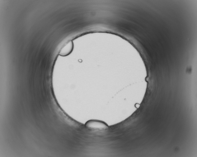 X0000112481191200909281102