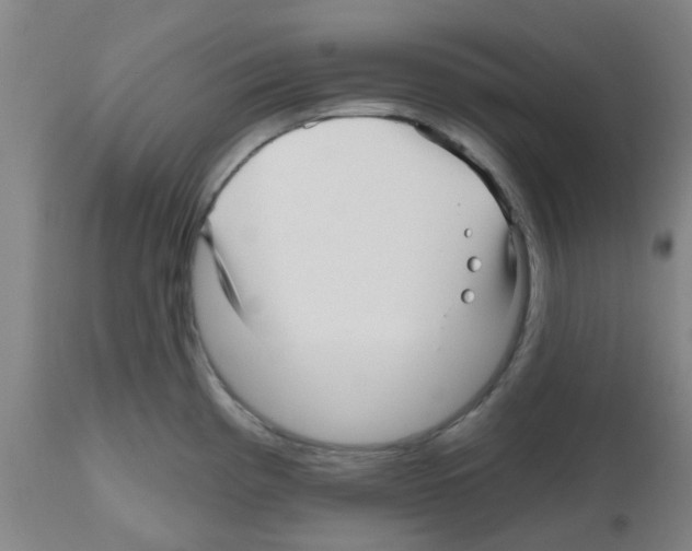 X0000112481193200909281102